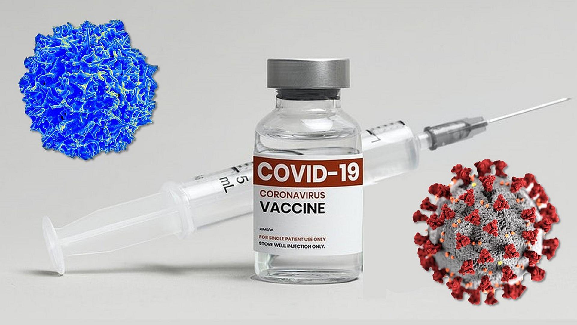 जिन सभी लोगों ने लगवा ली कोरोना वैक्सीन, उनके लिए बने ये लोग जान के दुश्मन, यह स्टडी में हुआ है बड़ा खुलासा